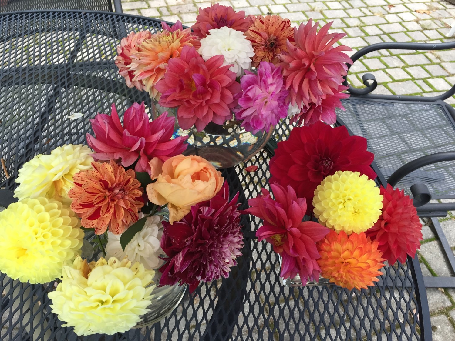 dahlia bouquet